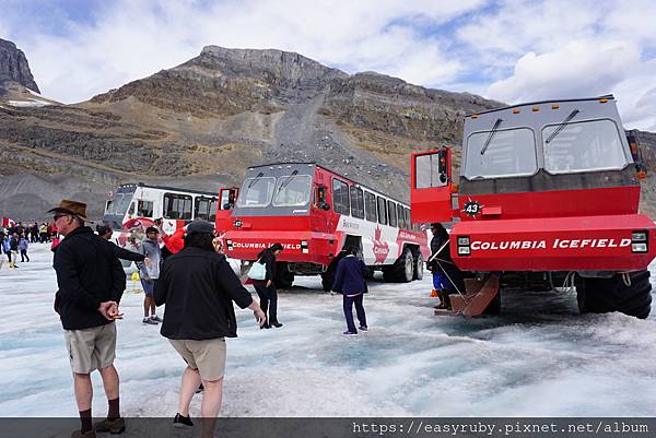 201608加拿大國家公園走透透 463.JPG