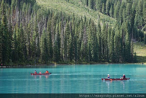 201608加拿大國家公園走透透 958.JPG 201608加拿大國家公園走透透 958.JPG