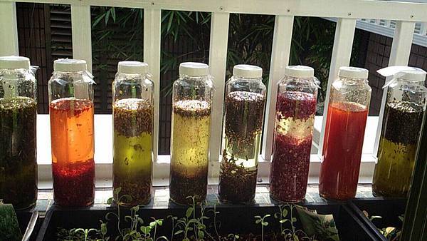 花草浸泡油 系列