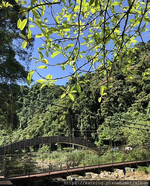 寵物毛孩景點★新竹北埔冷泉、新竹市靜心湖＠Clare