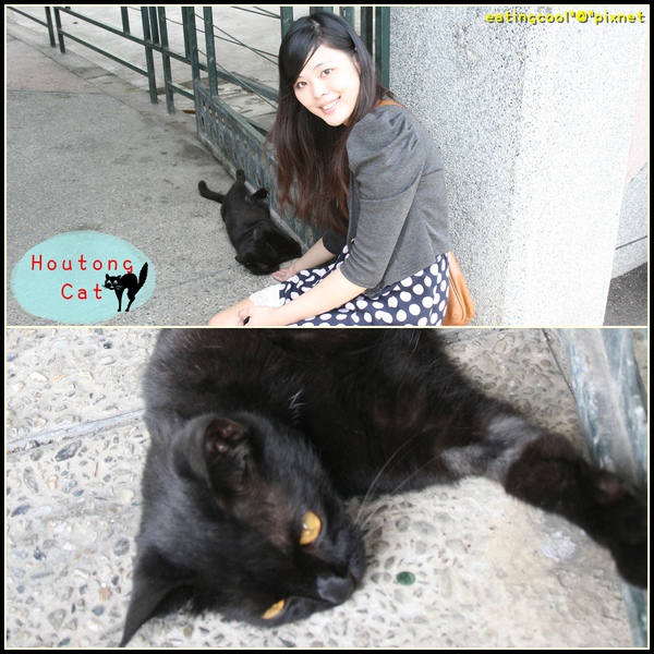 houtong cats34.jpg