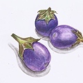 eggplant_S800