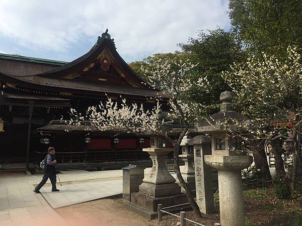 日本關西梅花季賞梅一覽表