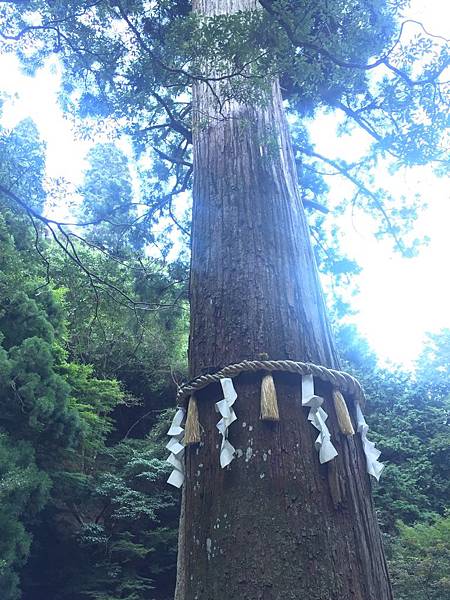 日本关西必去景点|京都鞍马贵船|春夏秋冬天四