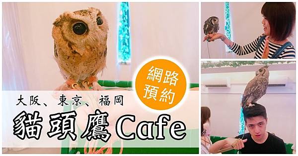 日本福岡東京大阪貓頭鷹咖啡廳網路預約方法網路購票時間免排隊