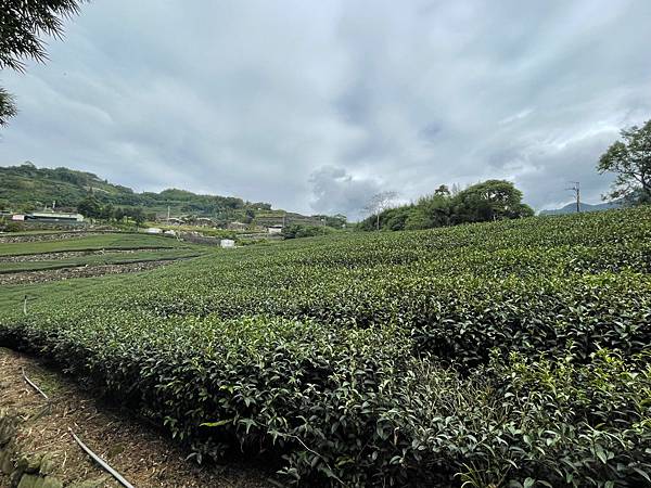 石桌汪爸露營區✈溫馨營區【創皂Smile&❤ㄧ起旅行Camp