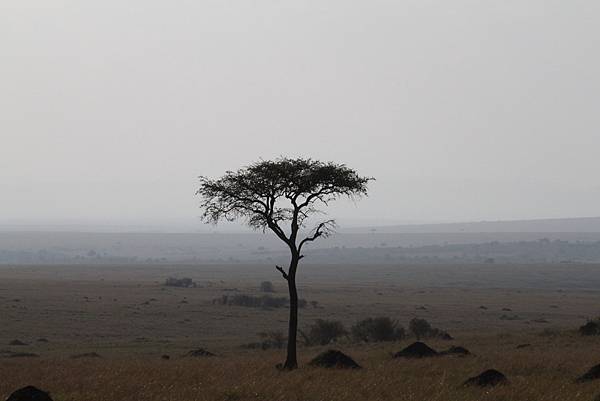 肯亞的風景也是很迷人低