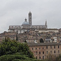 遠眺Siena old town