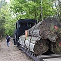 羅東林場火車頭