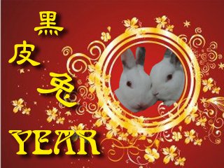 黑皮兔YEAR 黑皮兔YEAR