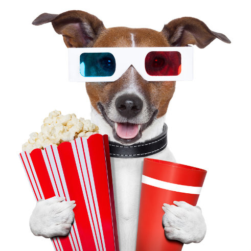 movie-dog-with-popcorn.jpg