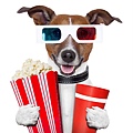 movie-dog-with-popcorn.jpg