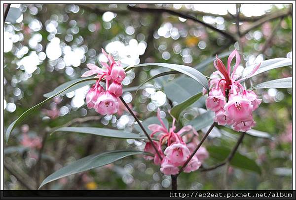 DSCF1526 DSCF1526
