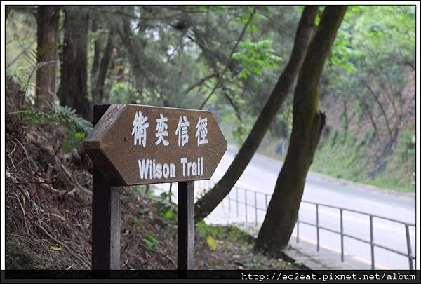 DSCF2943 DSCF2943