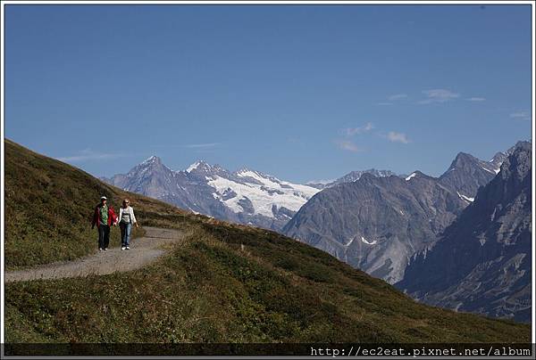 IMG_3966 IMG_3966