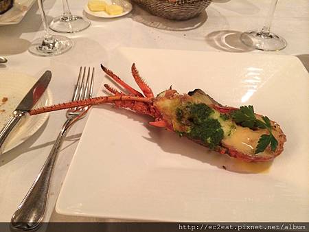 IMG_3562.JPG IMG_3562.JPG