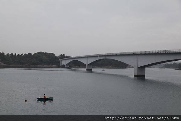 IMG_8904.JPG IMG_8904.JPG
