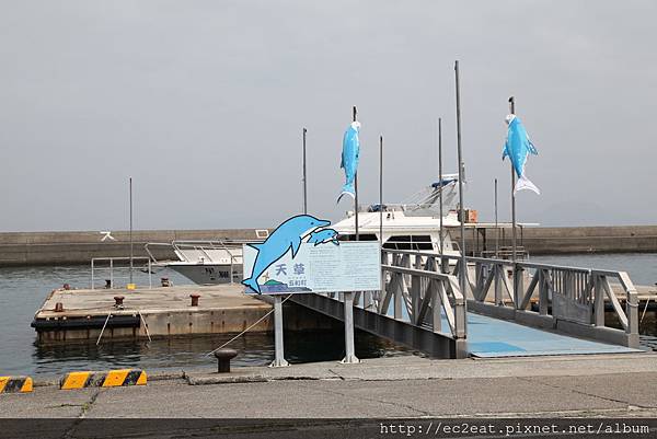 IMG_8956.JPG IMG_8956.JPG