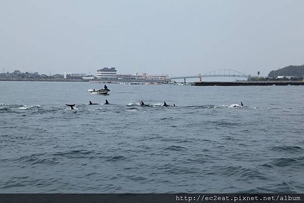 IMG_9014.JPG IMG_9014.JPG