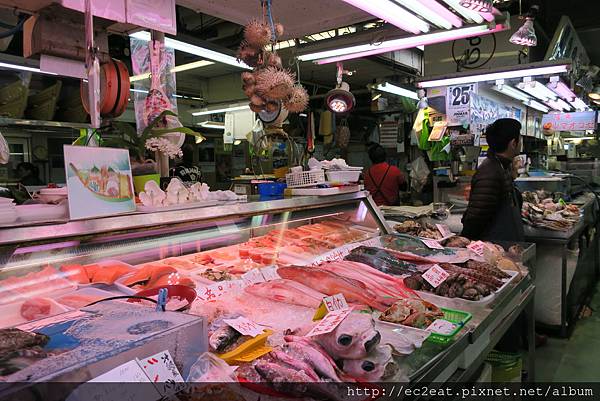 IMG_0377.JPG IMG_0377.JPG