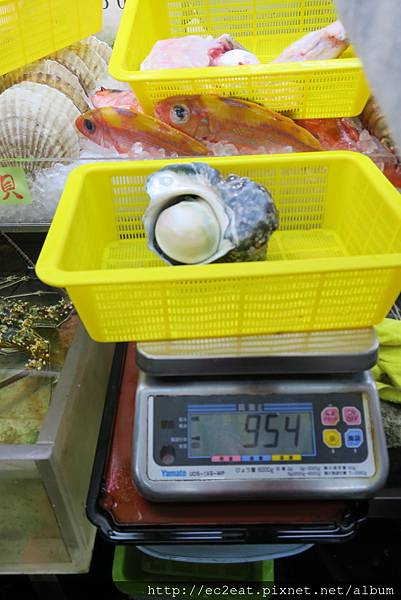 IMG_0382.JPG IMG_0382.JPG