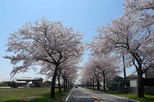 P1010177.JPG P1010177.JPG