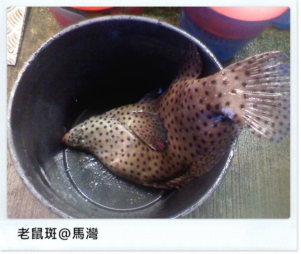 1.jpg 1.jpg