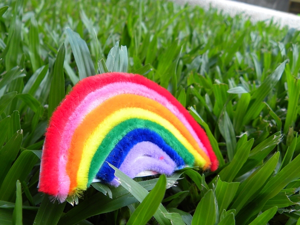 Pipe Cleaner Rainbow Magnet