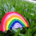 Pipe Cleaner Rainbow Magnet