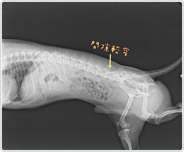 20130905 X-RAY1-1