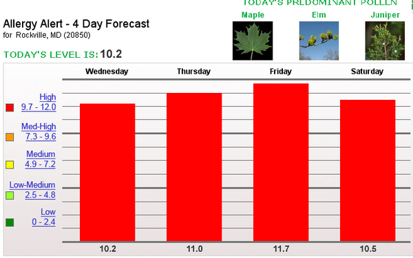 pollen count