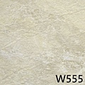 W555.jpg