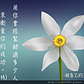 螢幕快照 2016-07-16 上午12.53.44.png