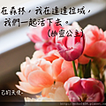 螢幕快照 2016-07-03 上午12.04.22.png