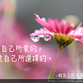 螢幕快照 2016-06-30 上午4.37.58.png