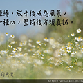 螢幕快照 2016-06-22 下午11.41.31.png