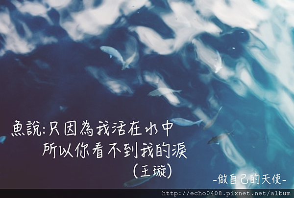 螢幕快照 2016-06-09 下午11.02.56.png