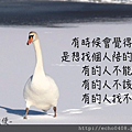 螢幕快照 2016-04-03 上午4.15.13.png