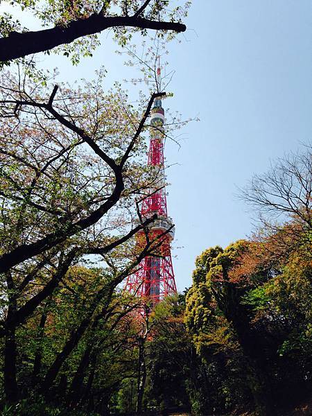 春天 東京鐵塔