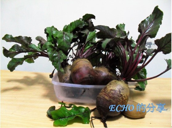 甜菜根湯 甜菜根湯