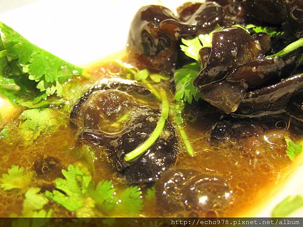 IMG_3850.JPG IMG_3850.JPG