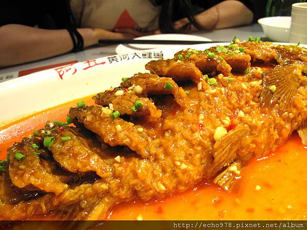 IMG_3858.JPG IMG_3858.JPG