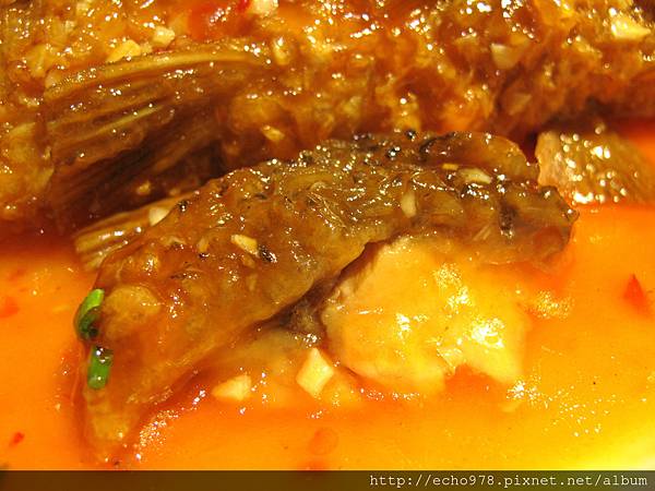 IMG_3867.JPG IMG_3867.JPG