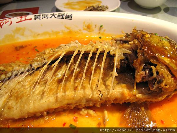 IMG_3871.JPG IMG_3871.JPG