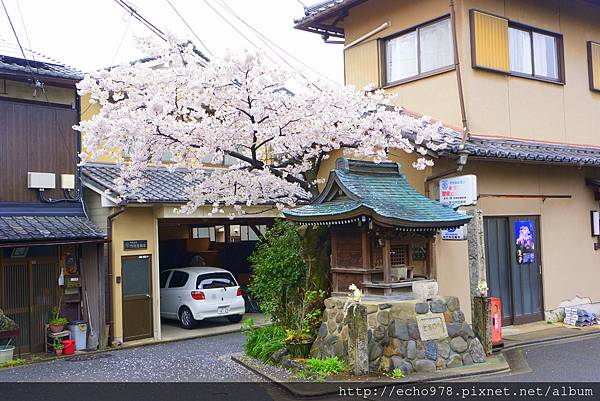 DSC08055.JPG DSC08055.JPG