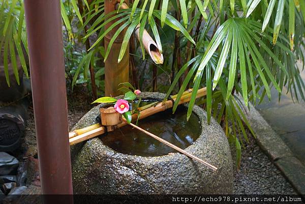 DSC08065.JPG DSC08065.JPG