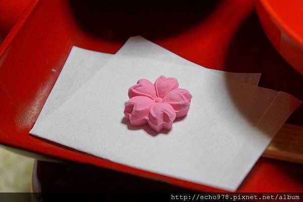 DSC08073.JPG DSC08073.JPG