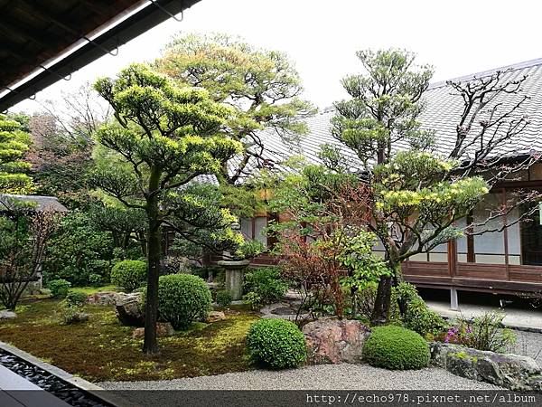 IMG_20170408_081818.jpg IMG_20170408_081818.jpg