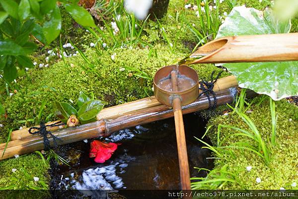 DSC08081.JPG DSC08081.JPG