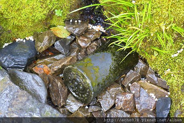 DSC08082.JPG DSC08082.JPG